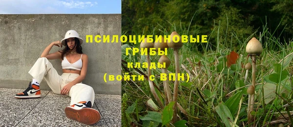 2c-b Вязьма