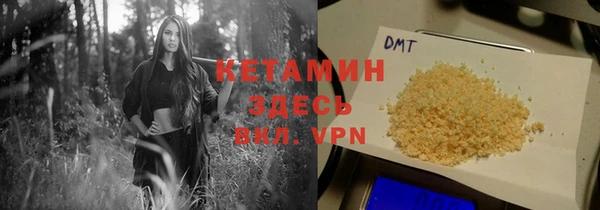 твердый Вяземский