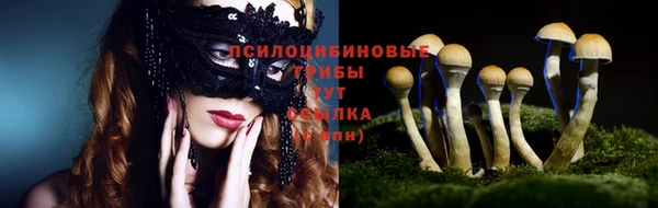 твердый Вяземский