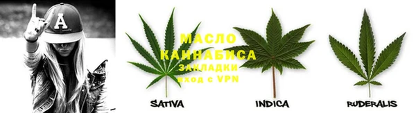 твердый Вяземский
