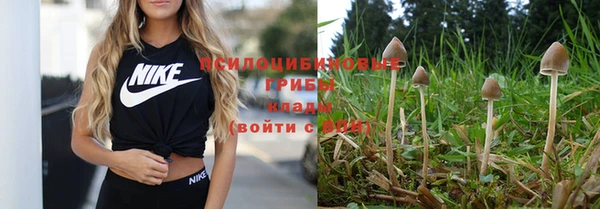 твердый Вяземский